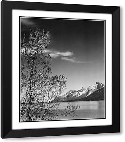 Amazon.com: Ansel Adams Mt. McKinley Range Embossed Poster (24 x